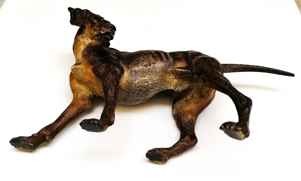 BRONZE DE VIENNE - CHIEN DE CHASSE - ATELIER FRANZ BERGMANN ? - CIRCA 1900 - SCULPTURE --photo-4