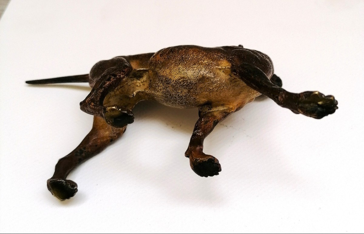 BRONZE DE VIENNE - CHIEN DE CHASSE - ATELIER FRANZ BERGMANN ? - CIRCA 1900 - SCULPTURE --photo-2