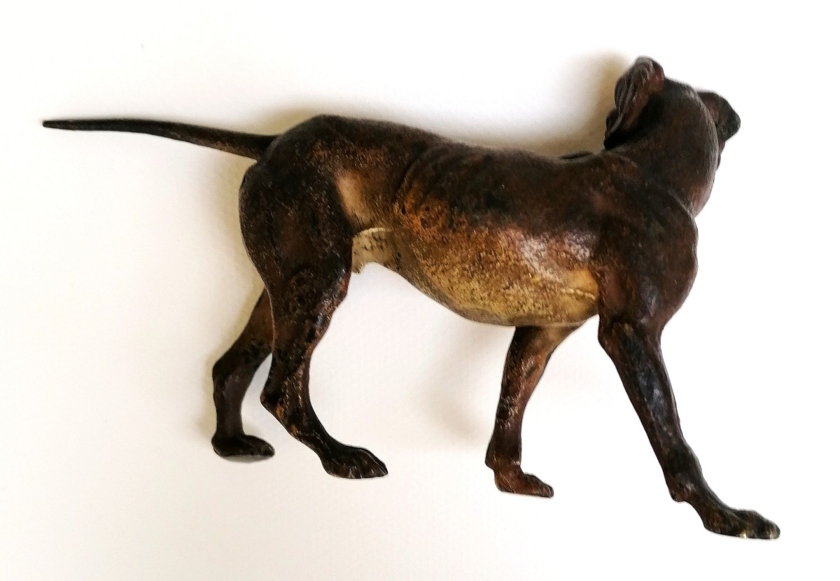 BRONZE DE VIENNE - CHIEN DE CHASSE - ATELIER FRANZ BERGMANN ? - CIRCA 1900 - SCULPTURE --photo-3