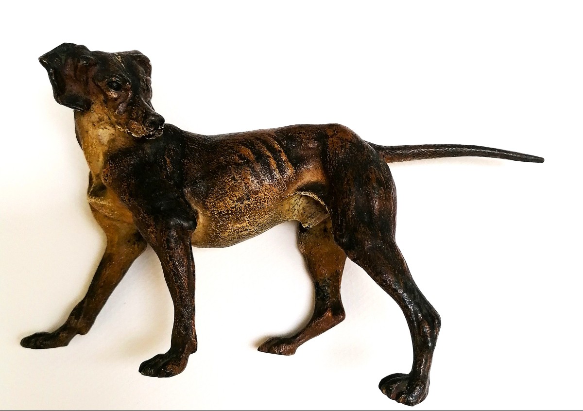 BRONZE DE VIENNE - CHIEN DE CHASSE - ATELIER FRANZ BERGMANN ? - CIRCA 1900 - SCULPTURE -