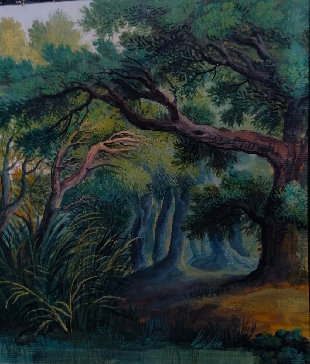 Gouache On Laid Paper - 18th Or 19th Century - Forest - Northern School?-photo-2
