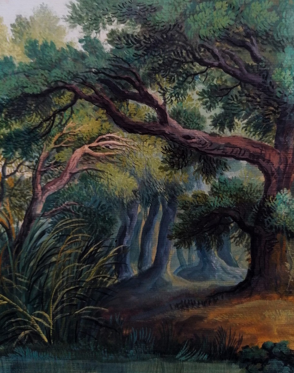 Gouache On Laid Paper - 18th Or 19th Century - Forest - Northern School?-photo-1