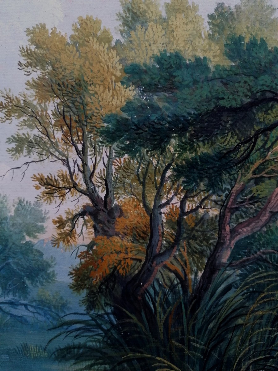 Gouache On Laid Paper - 18th Or 19th Century - Forest - Northern School?-photo-2