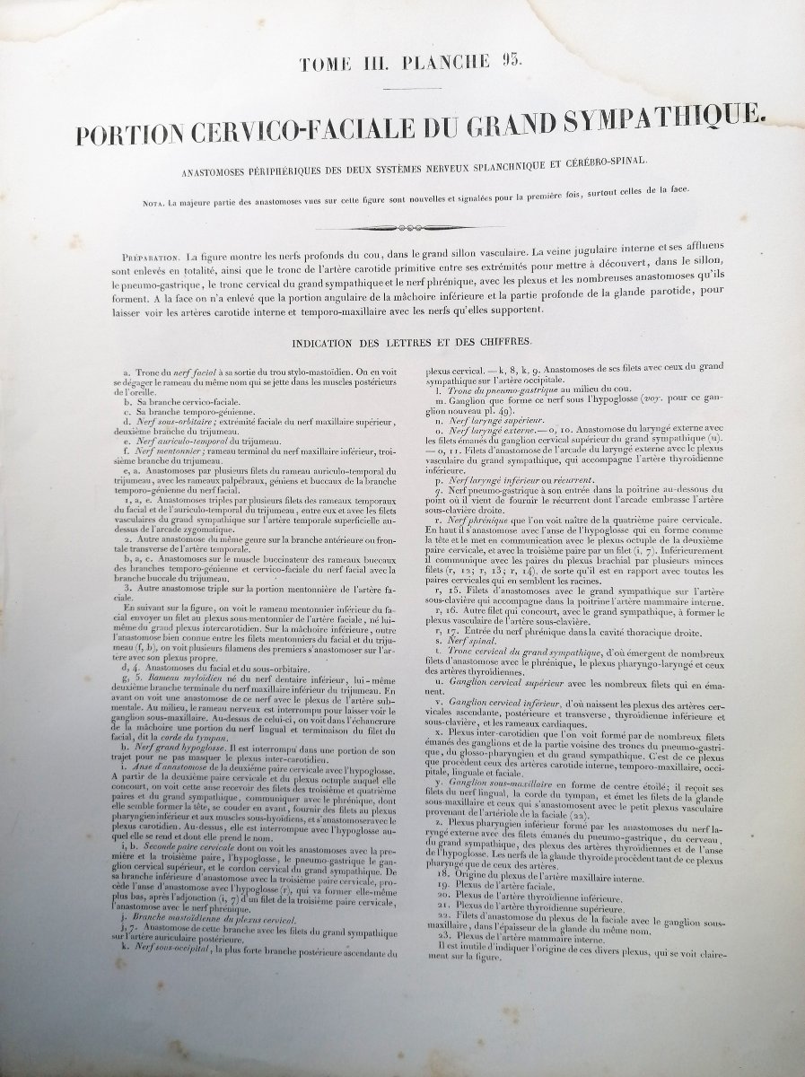LITHOGRAPHIE - CERVICO-FACIALE - TRAITE DE L 'ANATOMIE DE L'HOMME - Dr BOURGERY - NH JACOB --photo-1