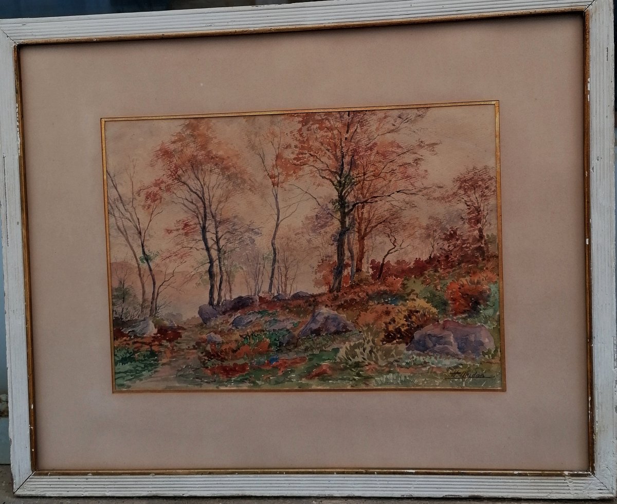 AQUARELLE - FORET AUX COULEURS D'AUTOMNE - DEBUT XXEME SIECLE - SIGNATURE --photo-1