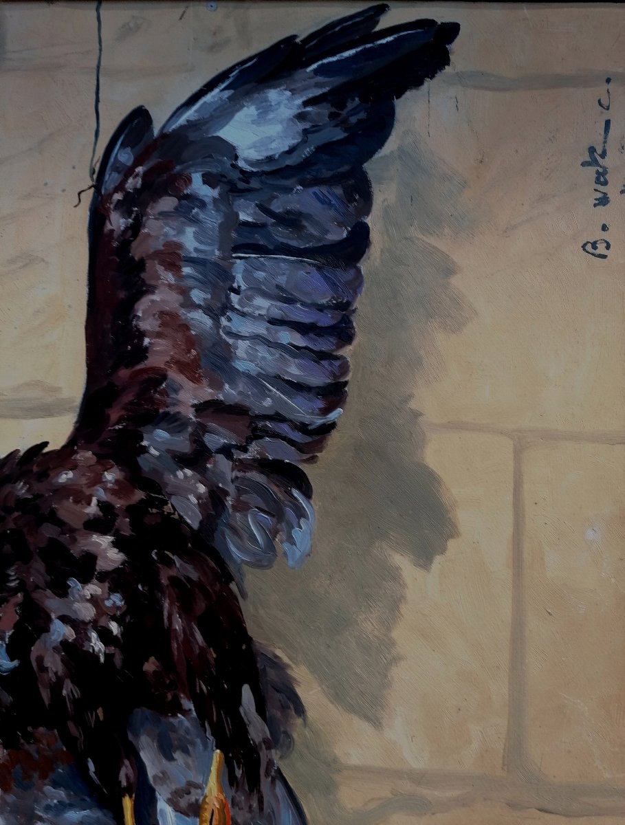 B. Walz C. - Oil On Cardboard - Golden Eagle - 98 X 68 Cm (as Seen) --photo-2