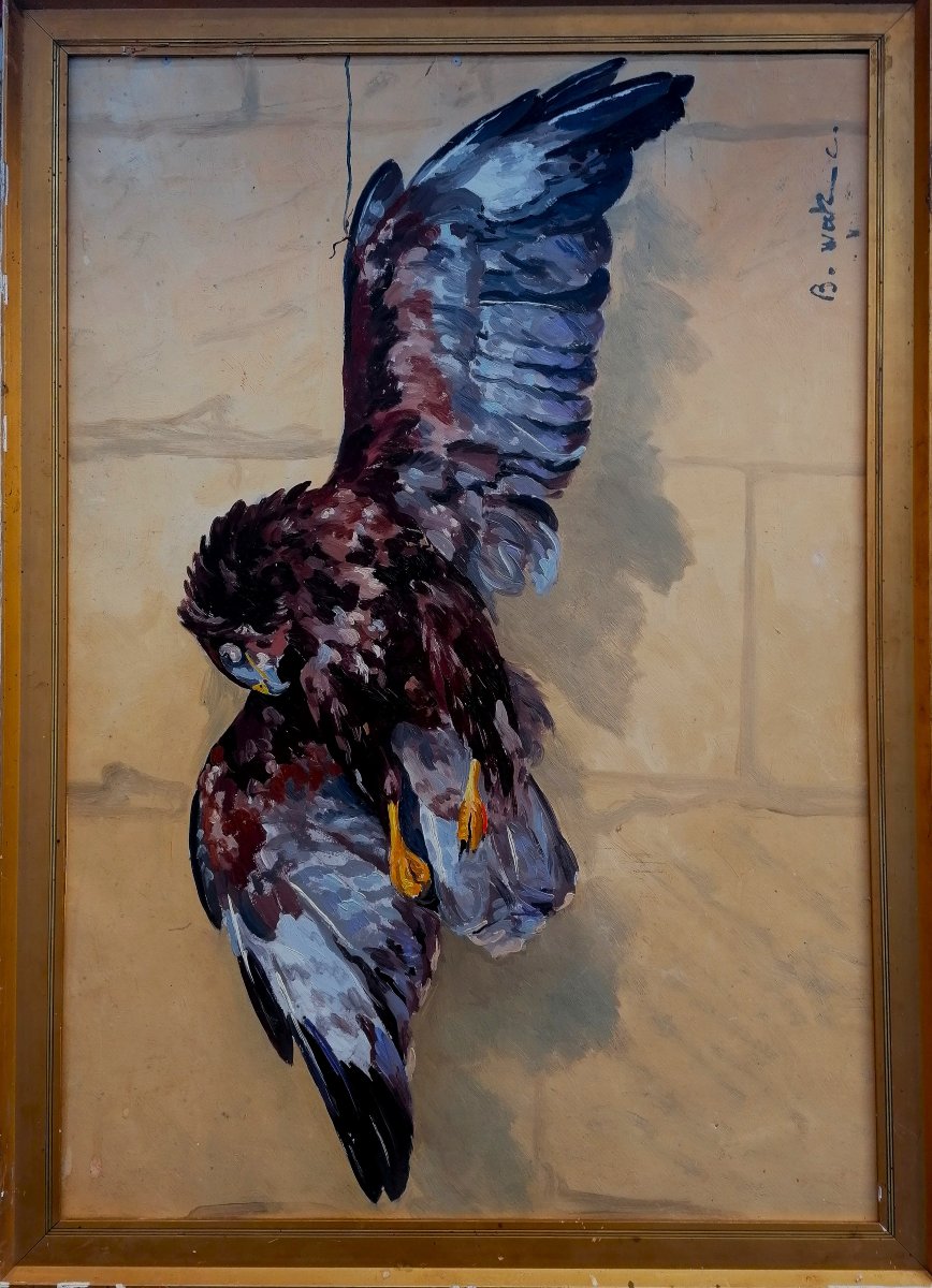 B. Walz C. - Oil On Cardboard - Golden Eagle - 98 X 68 Cm (as Seen) -
