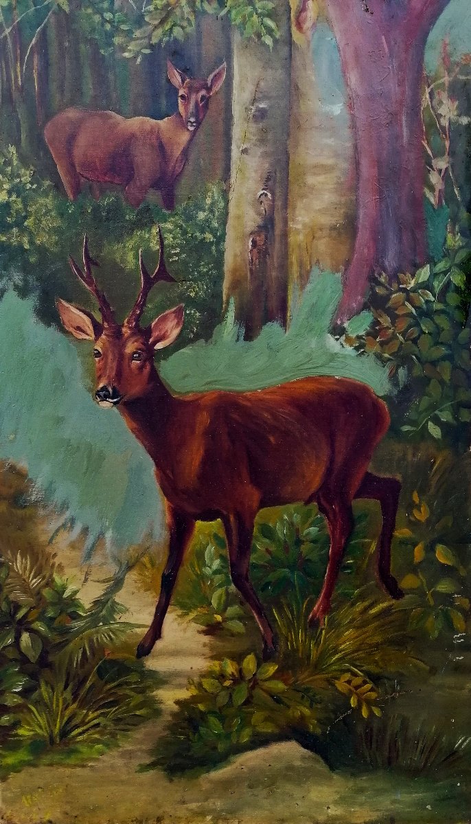 CERVIDES DANS LA FORET - HUILE SUR TOILE - FIN XIX - DEBUT XXEME SIECLE --photo-2
