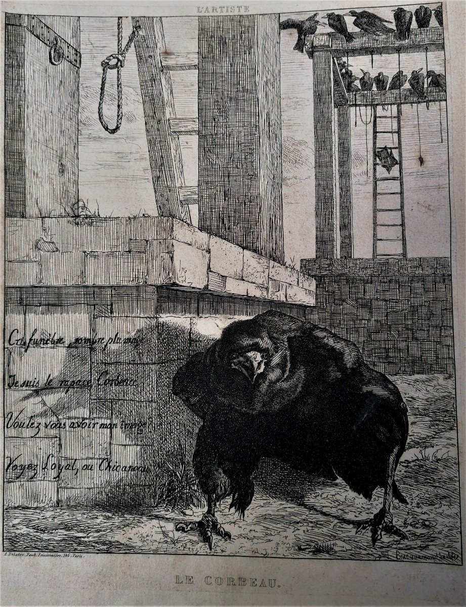 Félix Bracquemond (1833-1914) - Etching - The Raven - 1854 --photo-2