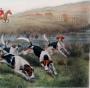 1793450-alb-6a54b00d79926.jpg