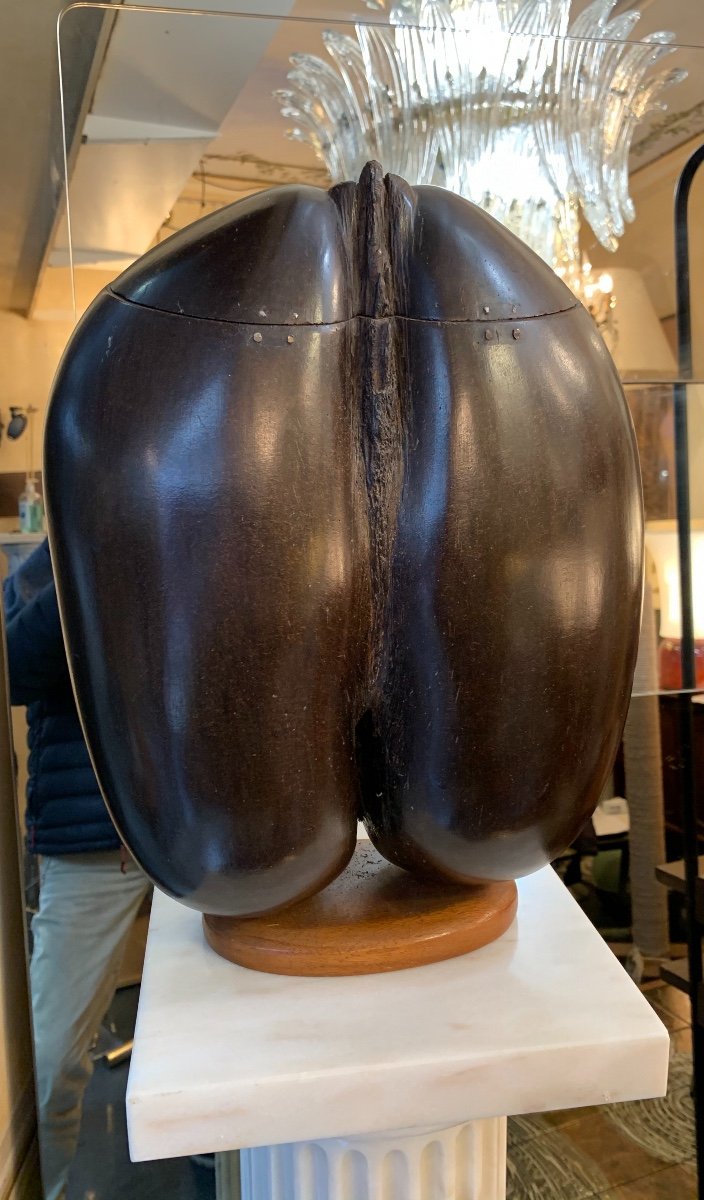 Coco Fesse-photo-2