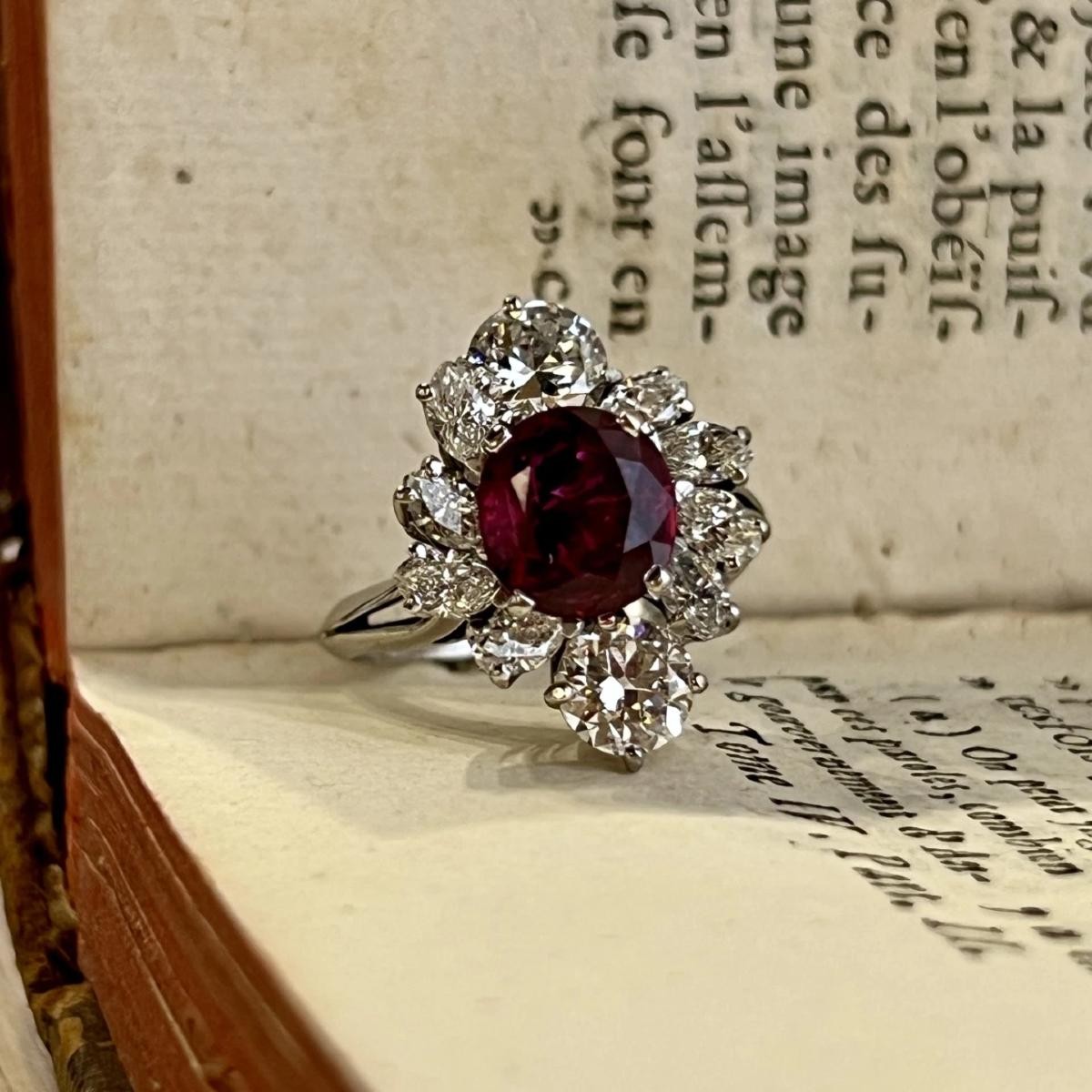 dael-et-grau-diapo-1