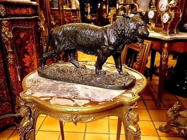 Animal Bronze By Christophe Fratin-photo-2