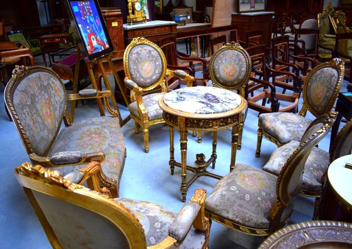 Louis XVI Style Salon-photo-5