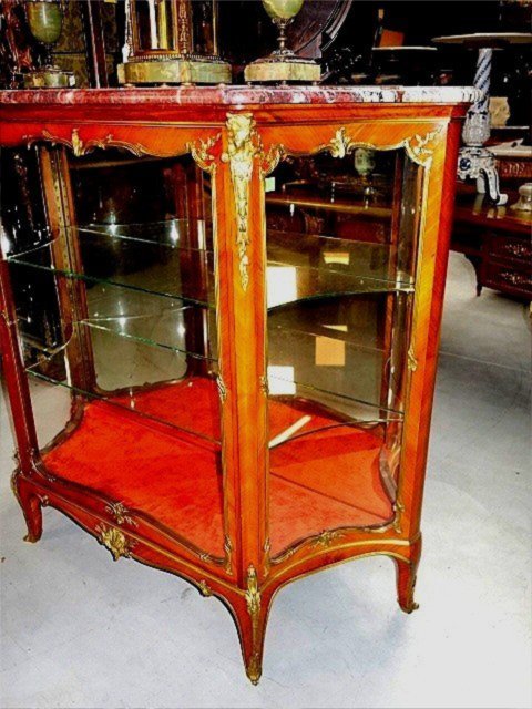 Louis XV Display Case By François Linke -photo-2