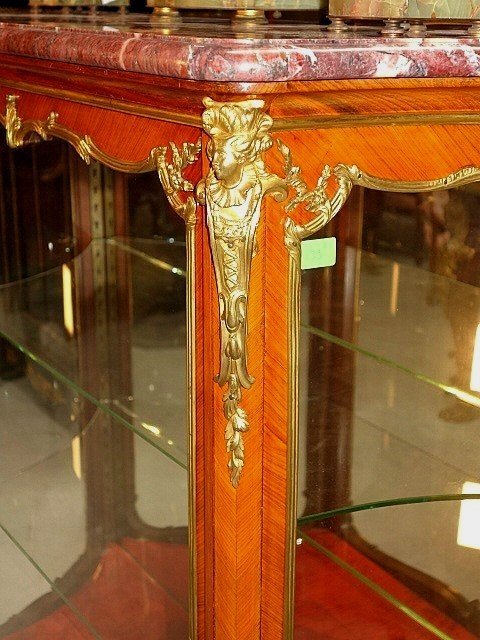 Louis XV Display Case By François Linke -photo-3