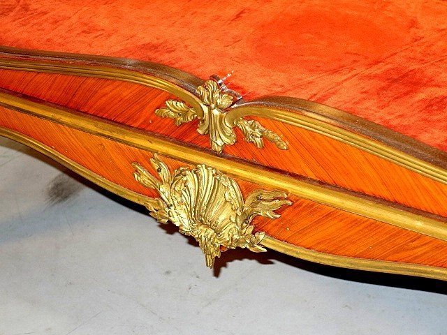 Louis XV Display Case By François Linke -photo-4