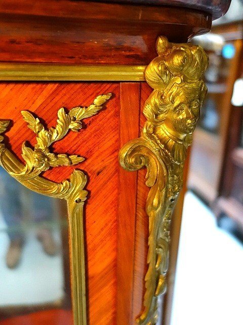 Louis XV Display Case By François Linke -photo-5