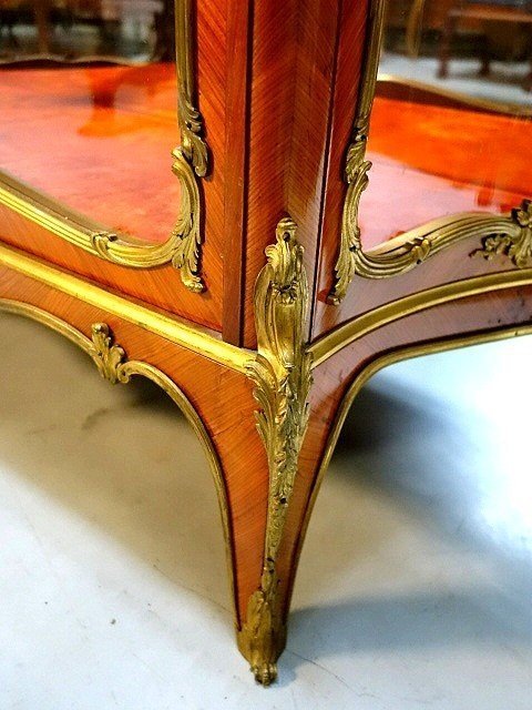 Louis XV Display Case By François Linke -photo-6