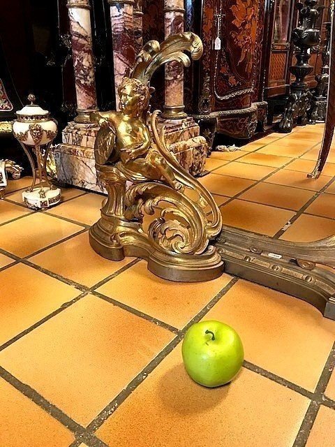 Chenets en bronze doré-photo-3