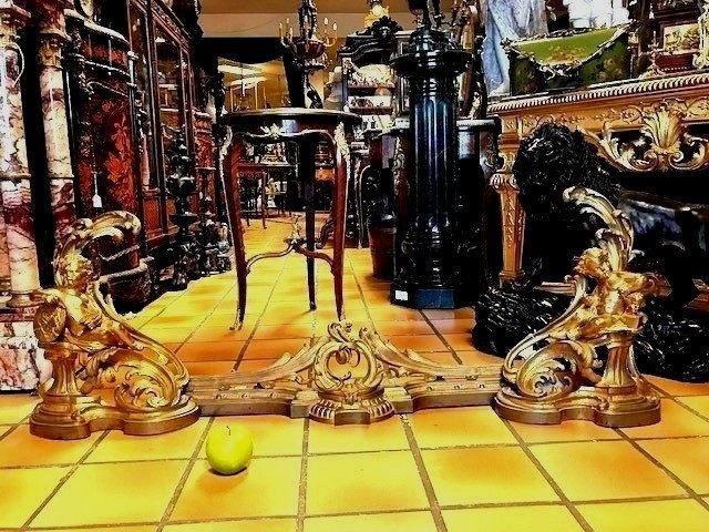 Chenets en bronze doré