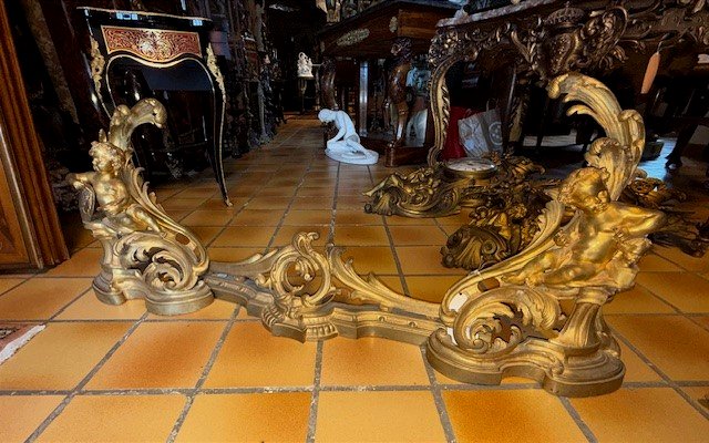 Chenets en bronze doré-photo-5