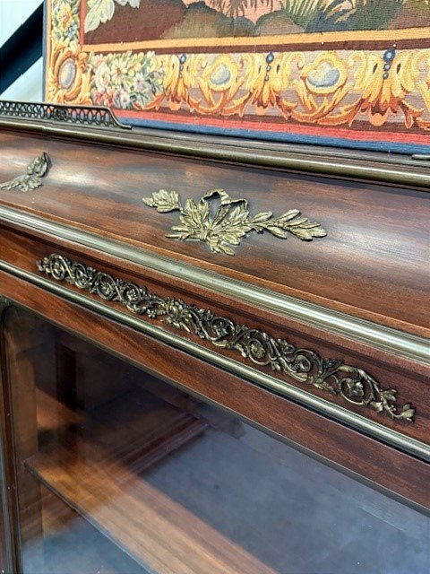 Pair Of Mahogany And Bronze Display Cabinets -photo-4