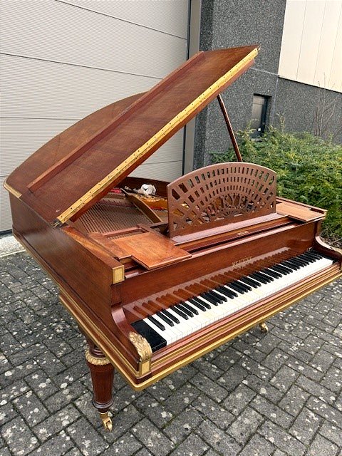 Grand Piano By Pleyel And Dumontier -photo-4