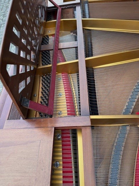 Grand Piano By Pleyel And Dumontier -photo-3