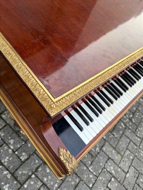 Grand Piano By Pleyel And Dumontier -photo-6