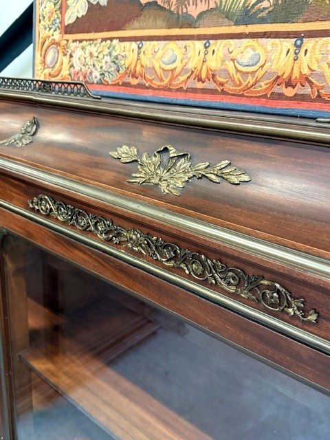 Pair Of Large Display Cabinets In Mahogany And Bronze -photo-4