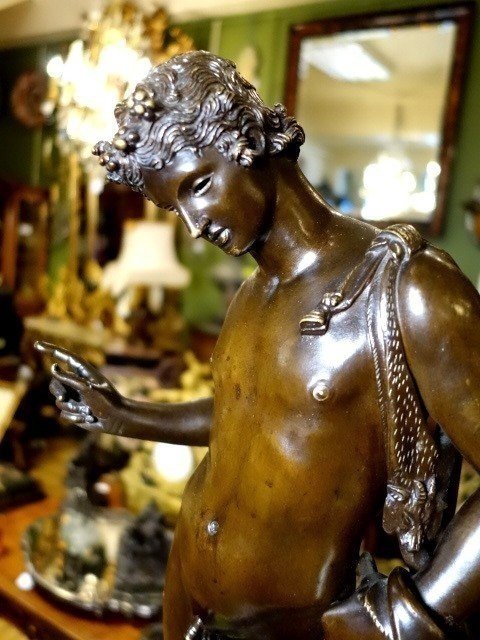 Narcissus -photo-3