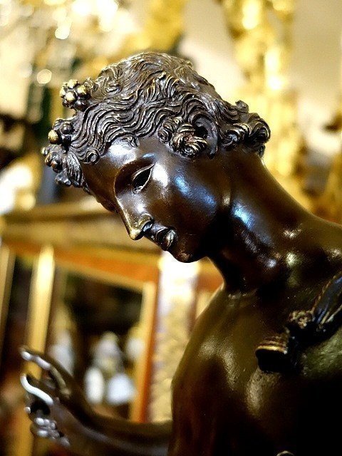 Narcissus -photo-4