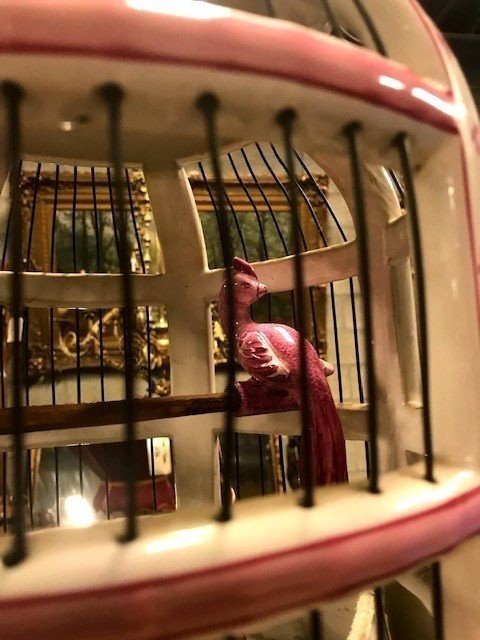 Cage pour oiseaux-photo-3