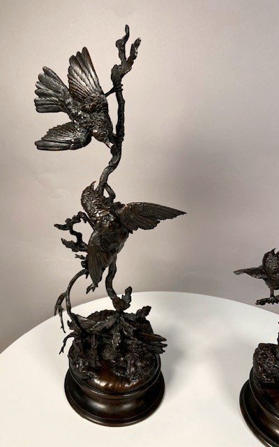 Couple d'oiseaux aux printemps -photo-2