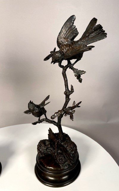 Couple d'oiseaux aux printemps -photo-3