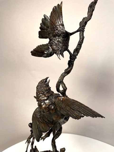 Couple d'oiseaux aux printemps -photo-4