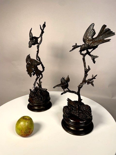 Couple d'oiseaux aux printemps -photo-3