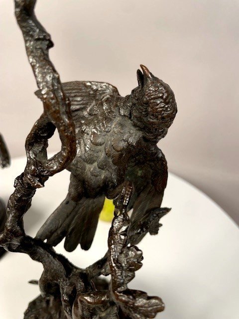 Couple d'oiseaux aux printemps -photo-4