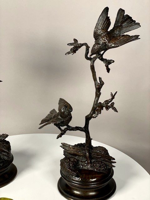 Couple d'oiseaux aux printemps -photo-7