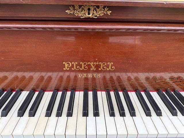 Pleyel & Dumontier Piano-photo-4