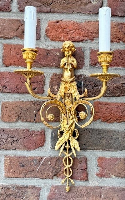Paire d'appliques en bronze doré-photo-2