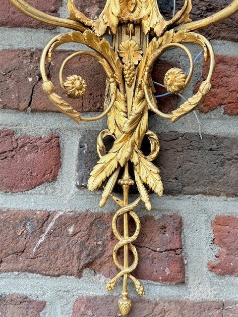 Paire d'appliques en bronze doré-photo-1