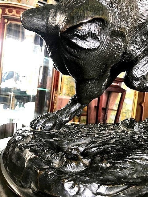 Large Bronze Hunting Dog-photo-3