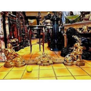 Chenets en bronze doré