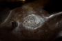 1844209-6adba52250fc2.jpg