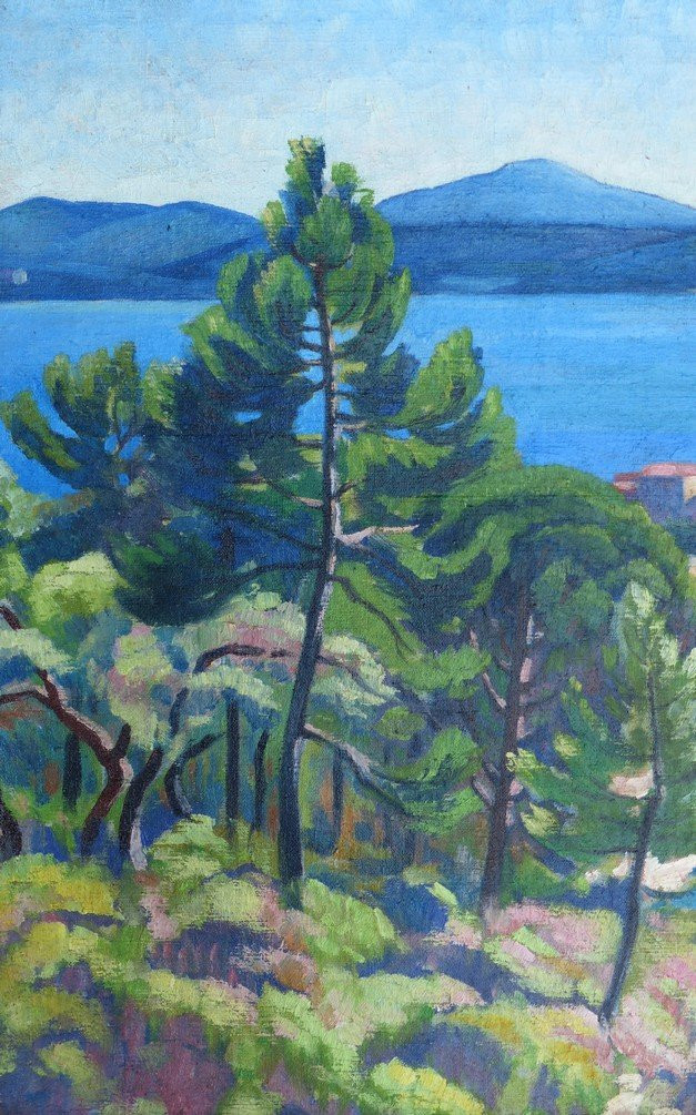 Ecole Provançale, Vue de Sainte Maxime -photo-3