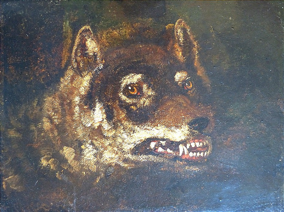 Wolf's Head Attributed To Philippe De La Hire (1640-1718)
