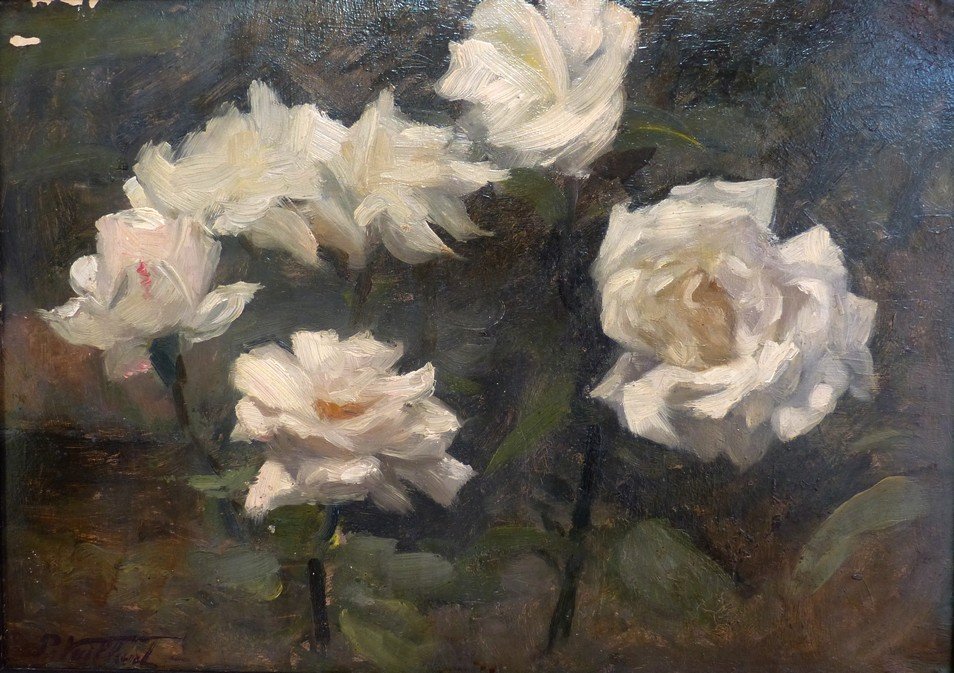 Jeté de Roses Blanches