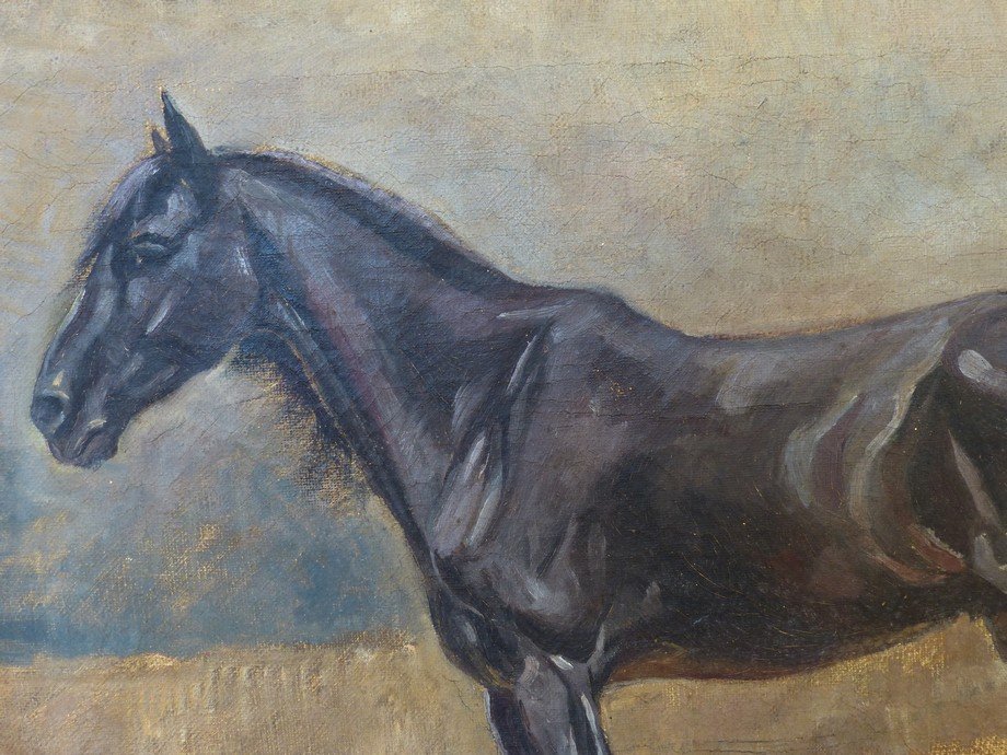 Le cheval noir circa 1910-photo-3